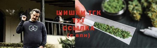 mix Ельня