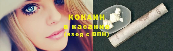 mix Ельня