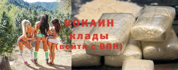 mix Ельня