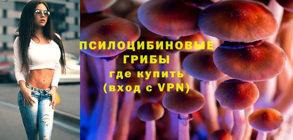 mix Ельня