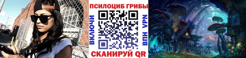 блэк спрут ТОР  Кинель  Псилоцибиновые грибы прущие грибы 