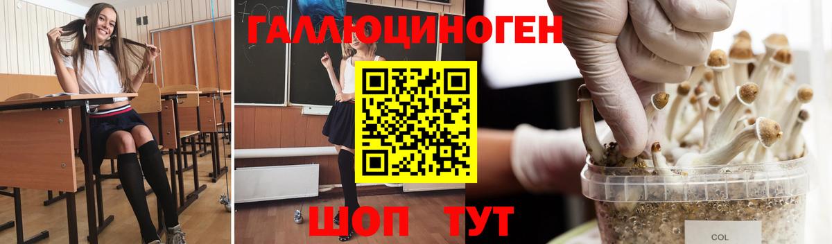 Галлюциногенные грибы ЛСД  Псилоцибиновые грибы MAGIC MUSHROOMS  Кинель  Вход с VPN 