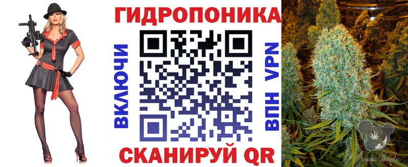 купить закладку  Кинель  Шишки марихуана индика 